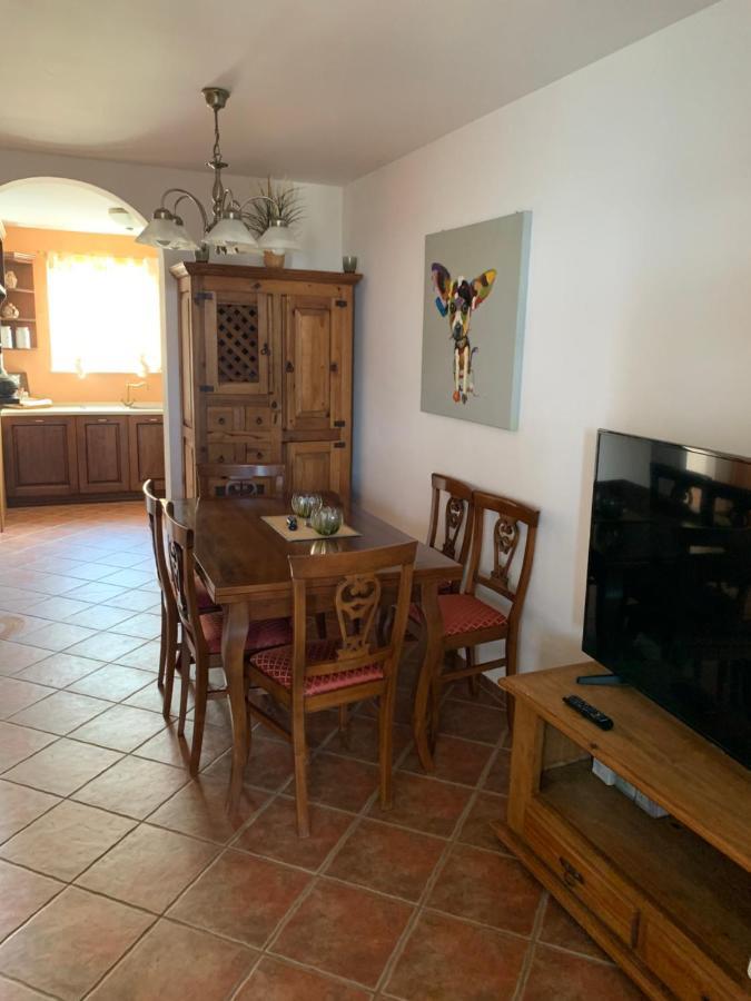 Villa Haus Sunshine Novigrad Istria Exterior foto